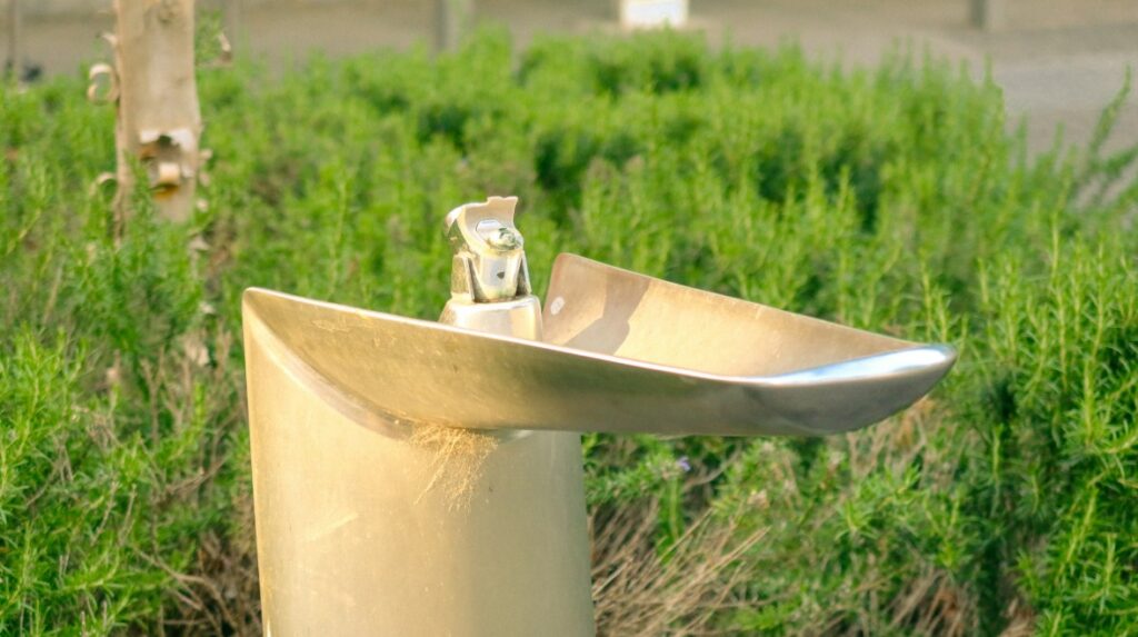 Eco-Friendly Shower Systems: What to Choose